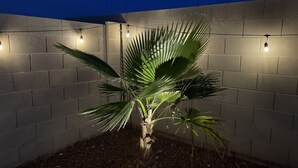 A potted palm plant in a corner with a brick wall and string lights. - AZ Sun & Serenity: 4BR home w/Heated Pool, BBQ Island, Prime location– Sleeps 12 (Surprise)