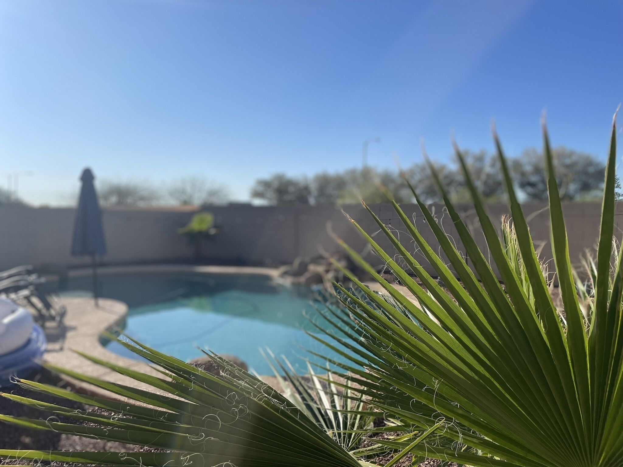 AZ Adventure Awaits!!! Private Pool, BBQ, Sleeps 12, 5 miles to Surprise Center.