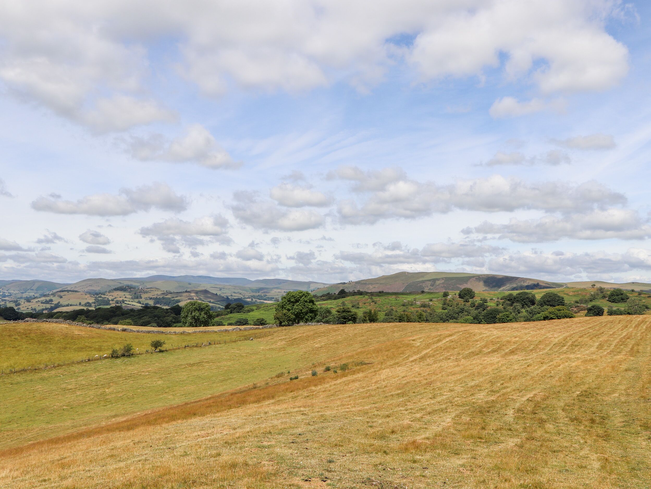 A rural landscape with rolling hills, a clear sky, and scattered clouds.