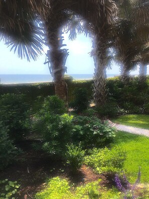 Overnattingsstedets uteområder