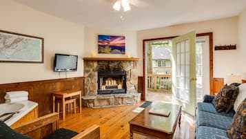 TV, fireplace, DVD player, books