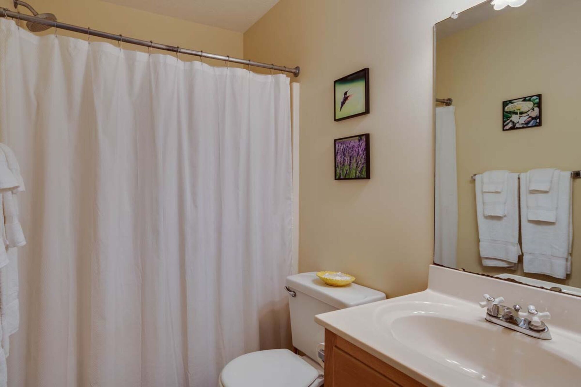 A bathroom with a shower curtain, toilet, sink, and two framed pictures on the wall.
