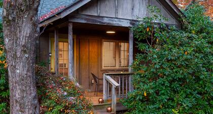 Blue Ridge Parkway cabin--2BR, hot tub, fireplace