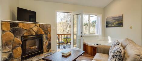 Télévision, cheminée, lecteur de DVD