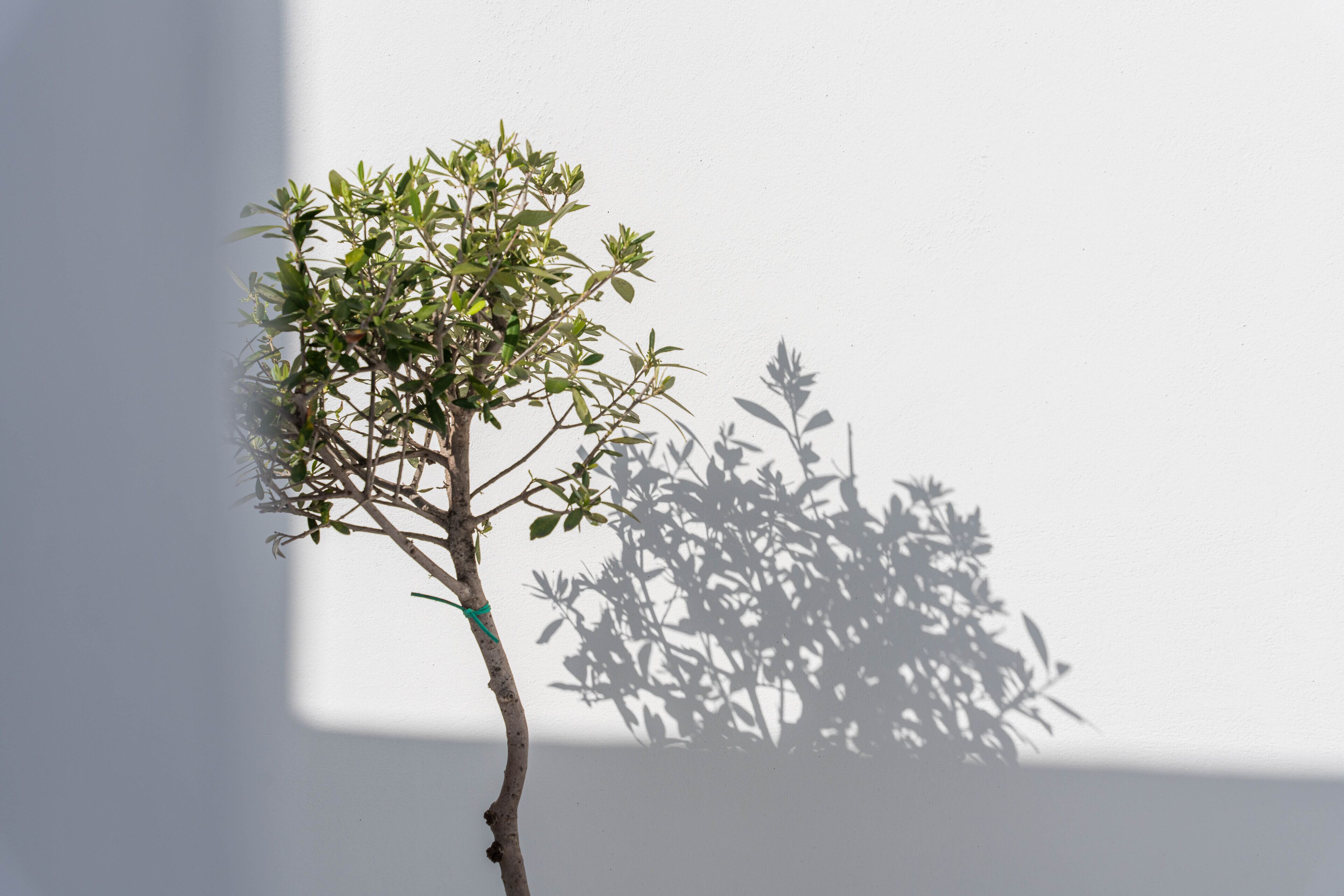 Photo - Cycladic Suites & Spa