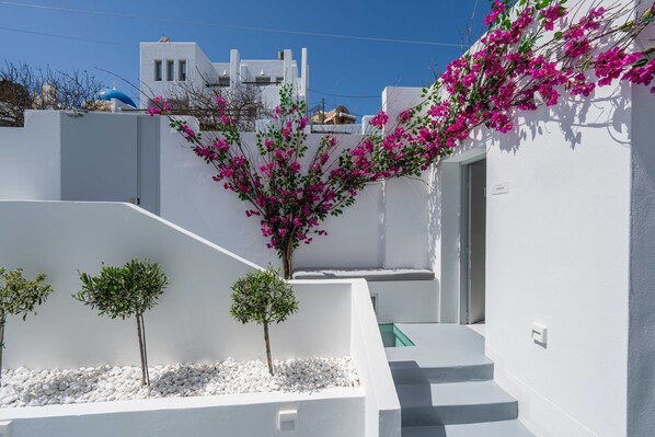 A white-walled building with a staircase, a small tree, and pink bougainvillea flowers.