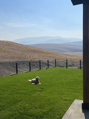 Property grounds - Beautiful brand new build with stunning mountain views (Missoula)