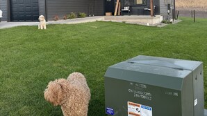 A modern two-story house with a dark exterior, a covered porch, and a well-maintained lawn. - Beautiful brand new build with stunning mountain views (Missoula)
