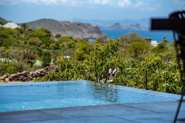 Outdoor pool - Sweet Hill Villa Cali (saint barthélémy)