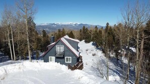 A house with a steep roof, surrounded by snow and trees, with mountains in the background.