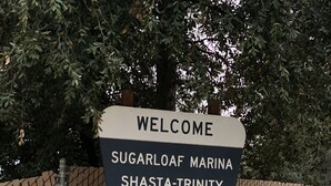 Willkommensschild für den Shasta-Trinity National Forest, Sugarloaf Marina, mit Zaun und Bäumen im Hintergrund.