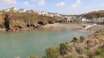 A coastal town with houses along the shore and a rocky beach.