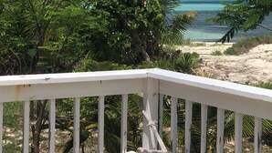 Blick auf einen Strand mit weißer Uferbefestigung, Palmen und blauem Himmel.