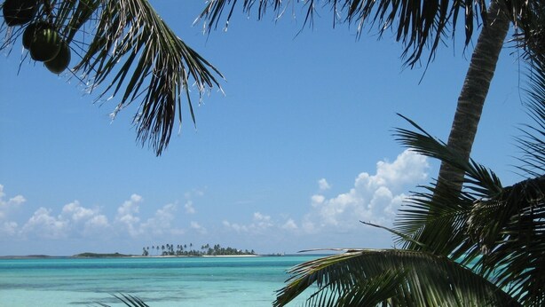 Ein Strand mit klarem türkisblauem Wasser, Palmen und einer entfernten Insel.