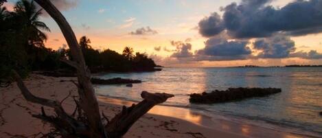 On the beach, sun-loungers, beach towels