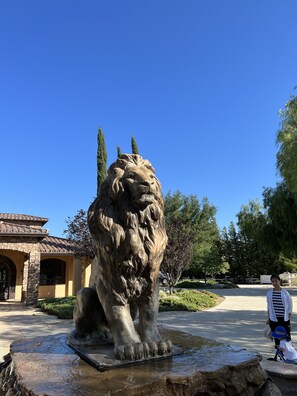 Enceinte de l’hébergement