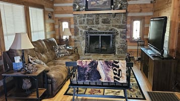 电视、壁炉、DVD 播放器、影片库