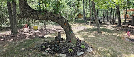 Terrain de lâhĂ©bergement
