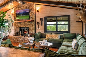 Smart TV, caminetto, biblioteca musicale, impianto stereo