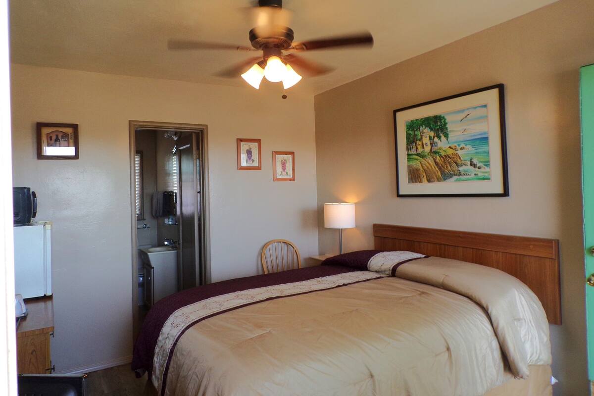 A hotel room with a bed, a ceiling fan, a painting, and a door.