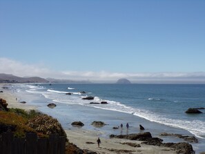 Beach nearby - Cypress Tree Motel (Cayucos)