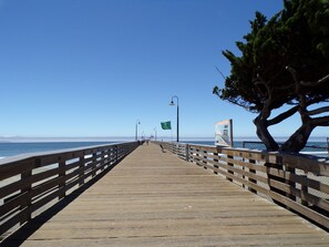 Beach nearby - Cypress Tree Motel (Cayucos)