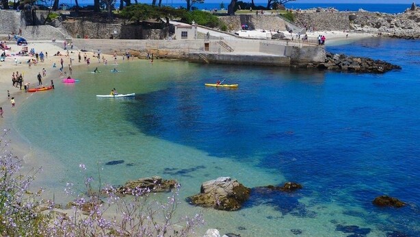 A coastal area with clear waters, rocky shorelines, and a sandy beach. - Cozy get-away in Pacific Grove (Pet Friendly!) (Pacific Grove)