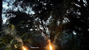 Deux torches allumées dans un jardin, avec un chemin en béton et de l’herbe.