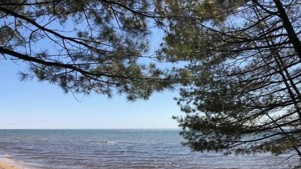A beach with clear skies, calm water, and sparse vegetation. - Cheerful cottage with 4 private beach accesses!!!! (East Tawas)