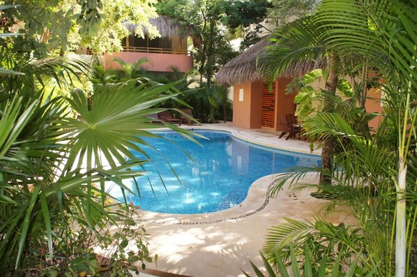 Alberca al aire libre y camastros 