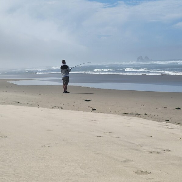 Une personne est en train de pêcher sur une plage de sable, avec des vagues en arrière-plan.