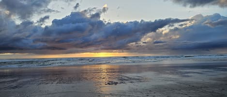 在海灘附近、沙灘巾