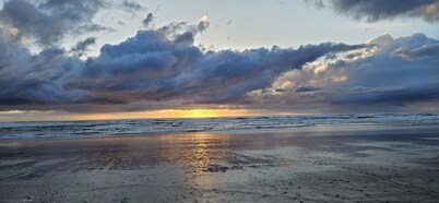 Panoramic Ocean Views! Large groups, pet friendly, game room.