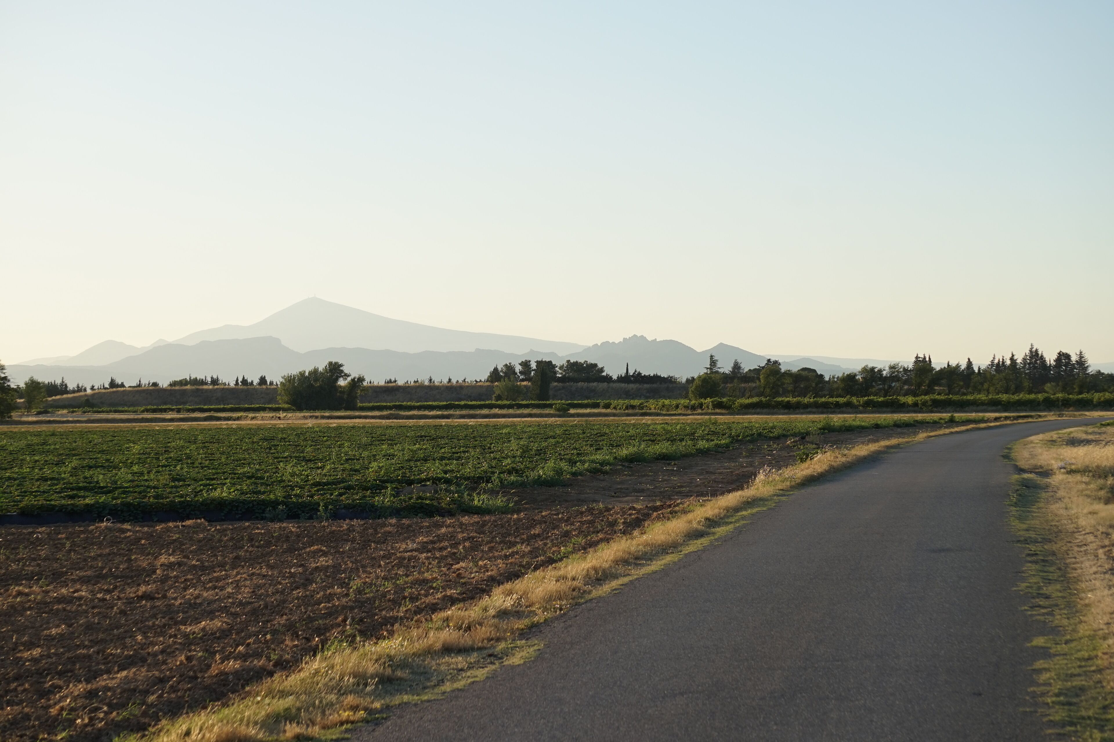A rural road curving through fields with distant mountains.
