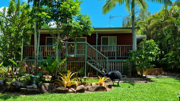 A wooden house with a green porch and a staircase, surrounded by lush greenery and a clear blue sky. - Mission Dreaming - 1 Bedroom Cottage (South Mission Beach)