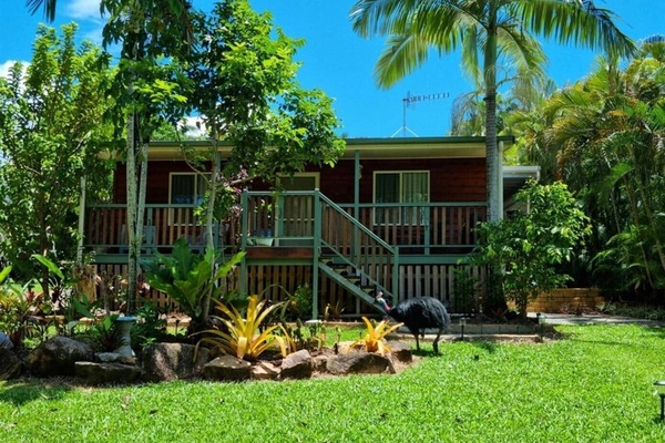 Mission Dreaming - cassy