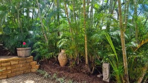 A garden with various plants and a stone sculpture. - Mission Dreaming - 1 Bedroom Cottage (South Mission Beach)