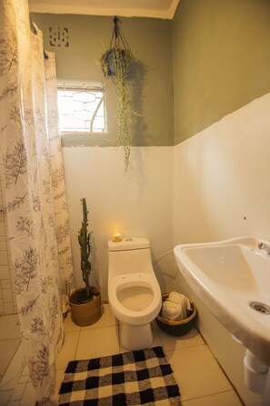 Combined shower/tub, hair dryer, towels, soap