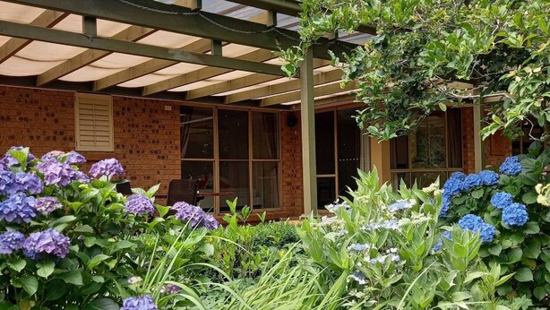 A covered outdoor area with a brick building, surrounded by lush greenery and hydrangea flowers. - Southern Highland NSW retreat (Fitzroy Falls)