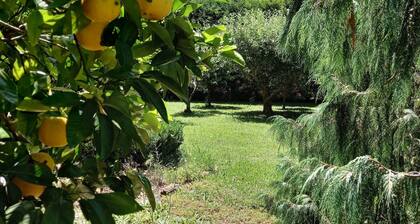 Southern Highland NSW retreat