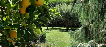 Southern Highland NSW retreat