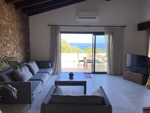 Televisie, een open haard en boeken