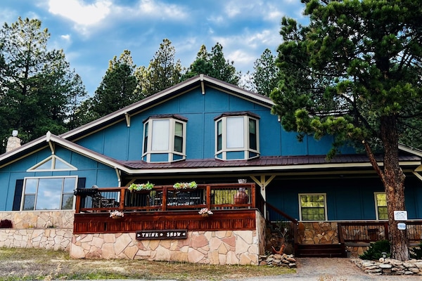 "Think Snow"
Angel Fire