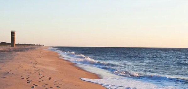 بالقرب من الشاطئ