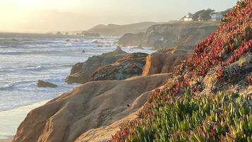 Beach nearby, beach towels