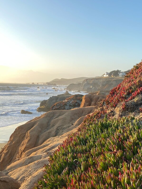 A coastal landscape with rocky terrain and vegetation. - Historic Beach Cottage with Ocean View Deck - Steps to Beach (Dillon Beach)