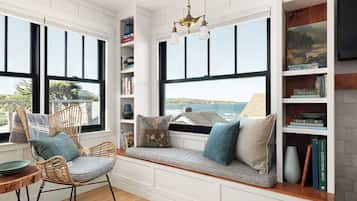 Smart TV, fireplace, books