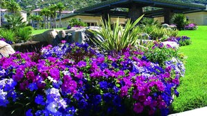 Een gebouw met een overdekte patio, omringd door een goed onderhouden tuin met levendige paarse en blauwe bloemen.
