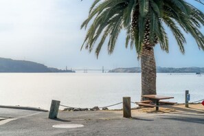 Une vue sur la côte, avec un palmier, un banc et une clôture en treillis métallique.