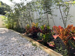 Property grounds - Tropical 2 Bedroom close to everything in Tampa! (Tampa)